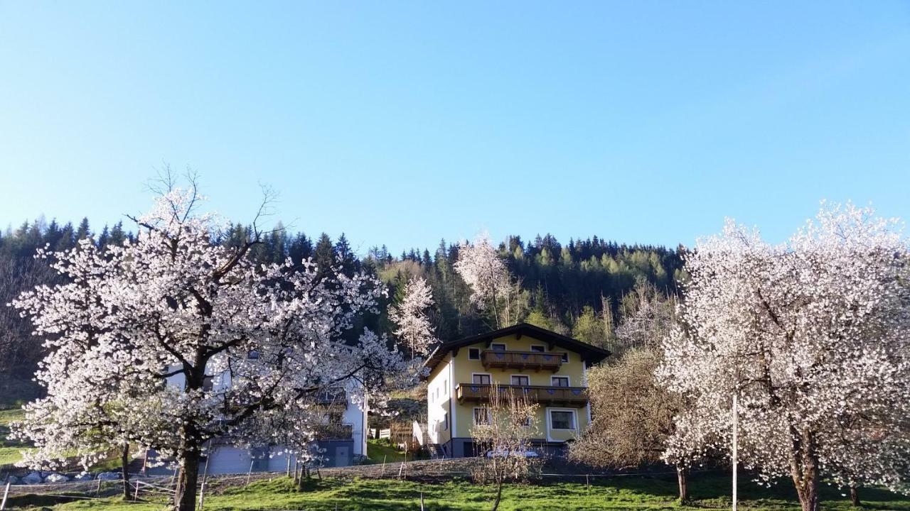 Ferienhaus Karin Fusch an der Glocknerstraße Exteriör bild